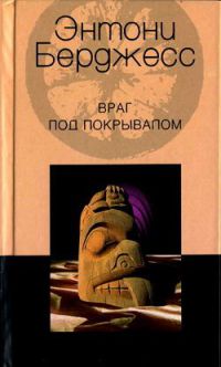 Книга Враг под покрывалом