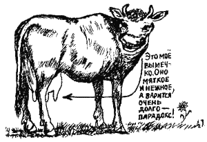 Иллюстрация к книге — Книга про еду [i_018.png]