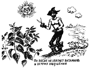 Иллюстрация к книге — Книга про еду [i_072.png]