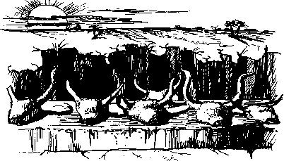 Иллюстрация к книге — Тайны исчезнувших цивилизаций [_17.jpg]