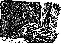 Иллюстрация к книге — Друзья и враги Анатолия Русакова [pic20.jpg]