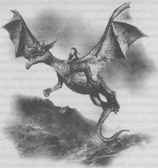 Иллюстрация к книге — Всё о непослушных принцессах и коварных драконах [img1_11.jpg]