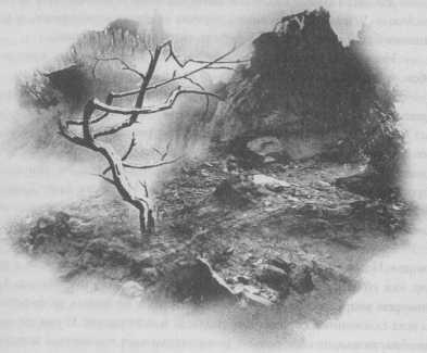 Иллюстрация к книге — Всё о непослушных принцессах и коварных драконах [img1_8.jpg]