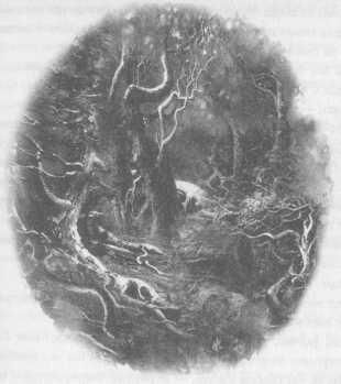 Иллюстрация к книге — Всё о непослушных принцессах и коварных драконах [img3_12.jpg]