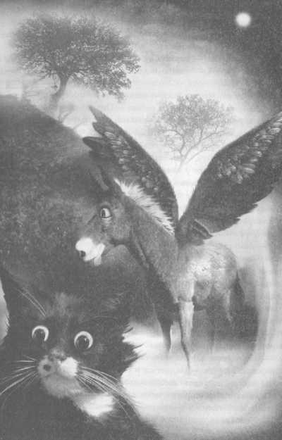 Иллюстрация к книге — Всё о непослушных принцессах и коварных драконах [img3_14.jpg]