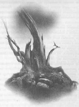 Иллюстрация к книге — Всё о непослушных принцессах и коварных драконах [img4_18.jpg]