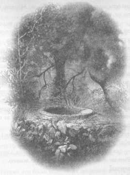 Иллюстрация к книге — Всё о непослушных принцессах и коварных драконах [img4_19.jpg]