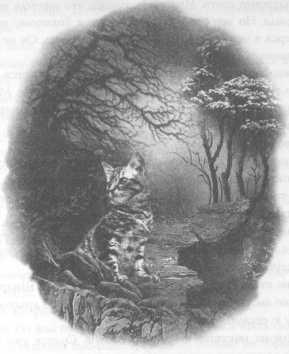 Иллюстрация к книге — Всё о непослушных принцессах и коварных драконах [img4_22.jpg]