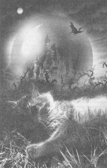 Иллюстрация к книге — Всё о непослушных принцессах и коварных драконах [img4_23.jpg]