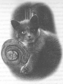 Иллюстрация к книге — Всё о непослушных принцессах и коварных драконах [img4_26.jpg]