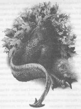 Иллюстрация к книге — Всё о непослушных принцессах и коварных драконах [img4_8.jpg]