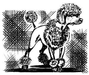 Иллюстрация к книге — Пудель бродит по Европе [Autogen_eBook_id7.jpg]