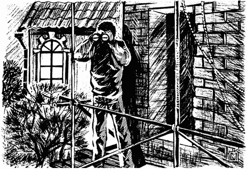 Иллюстрация к книге — Мафия против темных сил [autogen_ebook_id1.jpg]