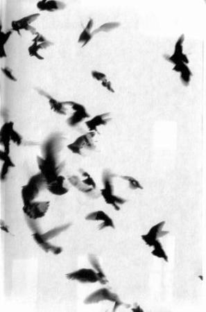 Иллюстрация к книге — Жутко громко и запредельно близко [image002.jpg]