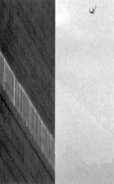 Иллюстрация к книге — Жутко громко и запредельно близко [image028.jpg]