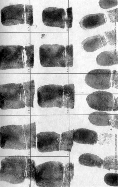 Иллюстрация к книге — Жутко громко и запредельно близко [image033.jpg]