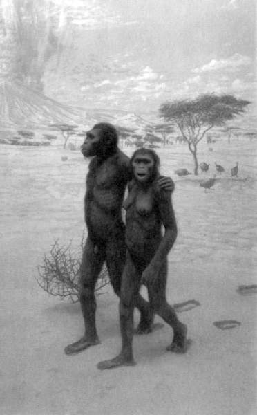 Иллюстрация к книге — Жутко громко и запредельно близко [image034.jpg]