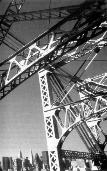 Иллюстрация к книге — Жутко громко и запредельно близко [image036.jpg]