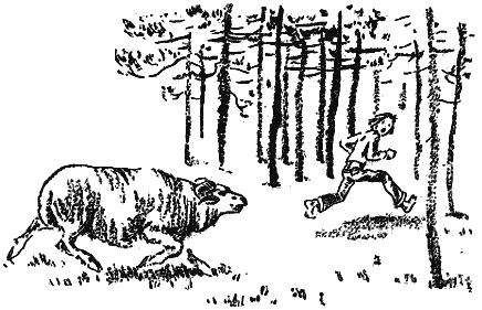 Иллюстрация к книге — Мы все из Бюллербю [i_023.png]