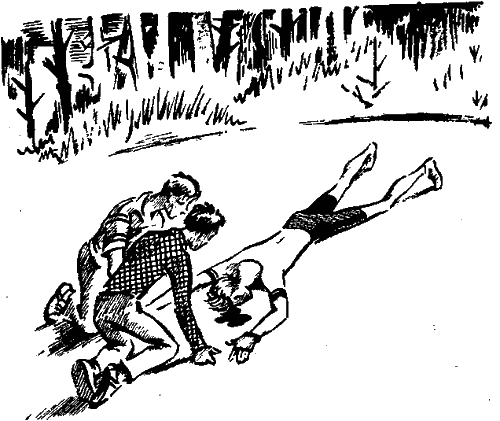 Иллюстрация к книге — Тайна «Серебряной звезды» [i_003.png]