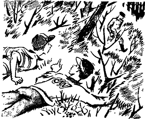 Иллюстрация к книге — Тайна Ревущей реки [i_004.png]