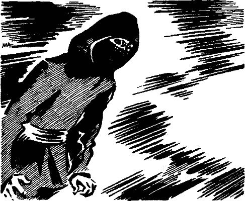 Иллюстрация к книге — Убийцы в черном [i_002.png]