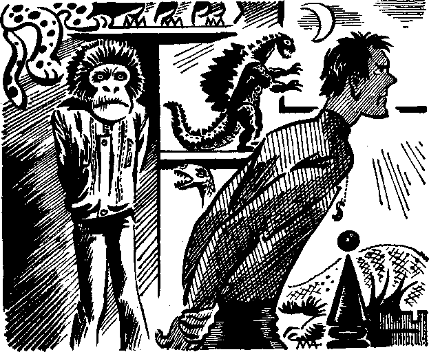 Иллюстрация к книге — Тайна магазина игрушек [i_004.png]