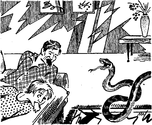 Иллюстрация к книге — Тайна змеиного зуба [i_006.png]