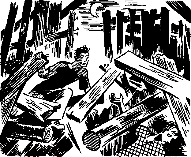 Иллюстрация к книге — Тайна острова Макатунк [i_004.png]