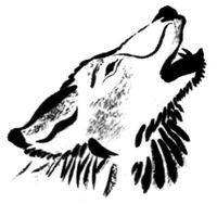 Иллюстрация к книге — Сердце Волка [_07.jpg]