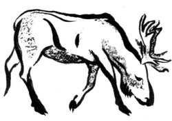 Иллюстрация к книге — Сердце Волка [_08.jpg]