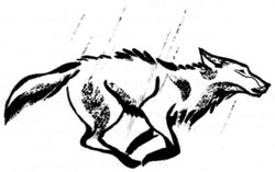 Иллюстрация к книге — Сердце Волка [_13.jpg]