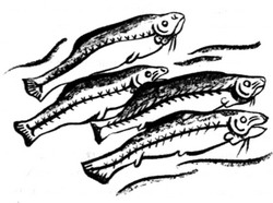 Иллюстрация к книге — Сердце Волка [_22.jpg]