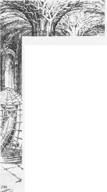 Иллюстрация к книге — Настоящая принцесса и Бродячий Мостик [i_010.jpg]