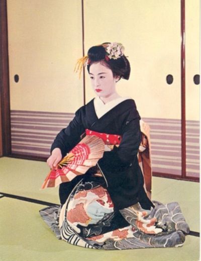 Иллюстрация к книге — Настоящие мемуары гейши [_03.jpg]