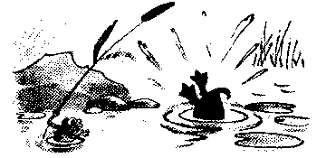 Иллюстрация к книге — Знаменитый утенок Тим [image11.png]