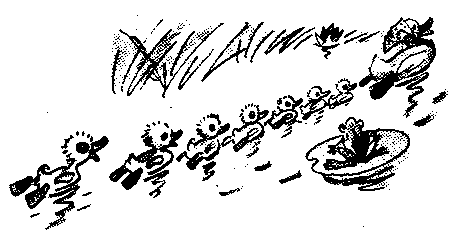 Иллюстрация к книге — Знаменитый утенок Тим [image14.png]