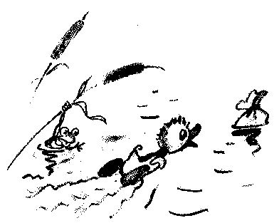 Иллюстрация к книге — Знаменитый утенок Тим [image16.png]