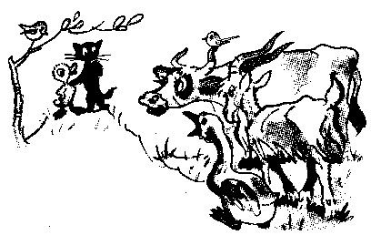 Иллюстрация к книге — Знаменитый утенок Тим [image19.png]