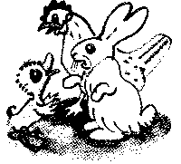 Иллюстрация к книге — Знаменитый утенок Тим [image26.png]