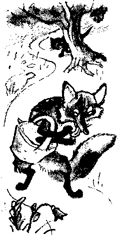 Иллюстрация к книге — Знаменитый утенок Тим [image29.png]