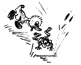 Иллюстрация к книге — Знаменитый утенок Тим [image4.png]