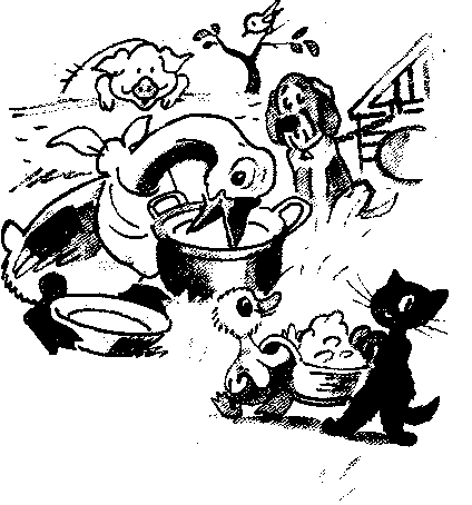 Иллюстрация к книге — Знаменитый утенок Тим [image49.png]