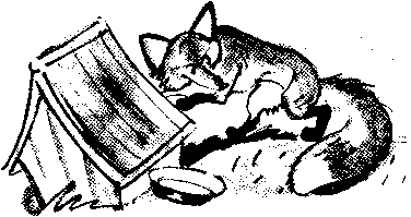 Иллюстрация к книге — Знаменитый утенок Тим [image51.png]