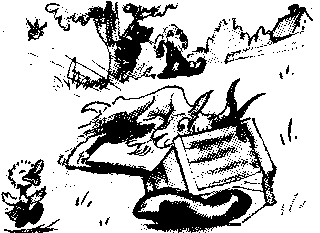 Иллюстрация к книге — Знаменитый утенок Тим [image56.png]