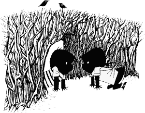 Иллюстрация к книге — Саша и Маша 1 [_2.png]