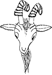 Иллюстрация к книге — Саша и Маша 1 [_71.png]