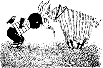 Иллюстрация к книге — Саша и Маша 1 [_72.png]