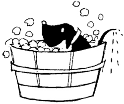 Иллюстрация к книге — Саша и Маша 1 [_81.png]