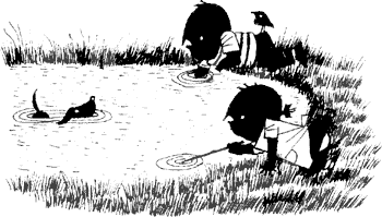 Иллюстрация к книге — Саша и Маша - 2 [_48.png]